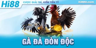 gà đá đòn độc