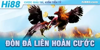 đá liên hoàn cước của gà chọi