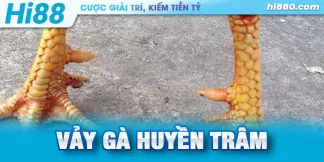 vảy gà huyên trâm là gi