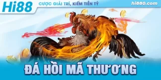 gà đá hồi mã thương