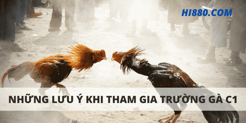 Những lưu ý khi tham gia trường gà C1