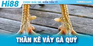 thần kê vảy gà quý là gì