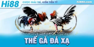 thế gà đá xạ cực hiểm