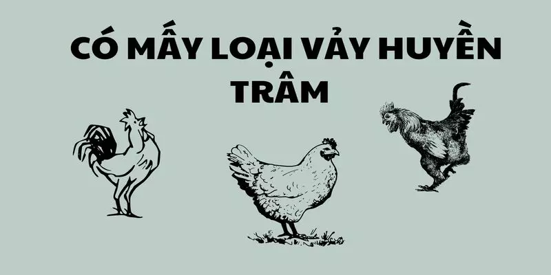 vay-ga-huyen-tram-co-may-loai